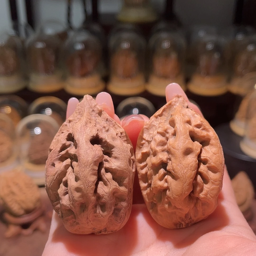 文玩核桃吊坠粗筋霸王龙