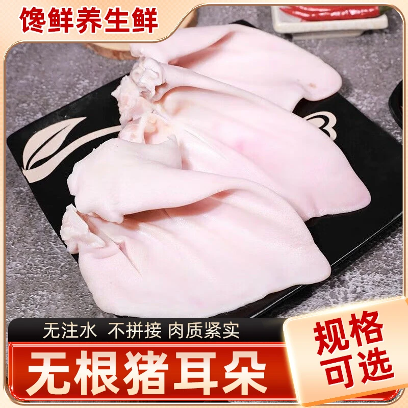 无根猪耳朵生鲜 猪耳朵生鲜 新鲜冷冻猪耳朵猪耳片 猪耳尖批发