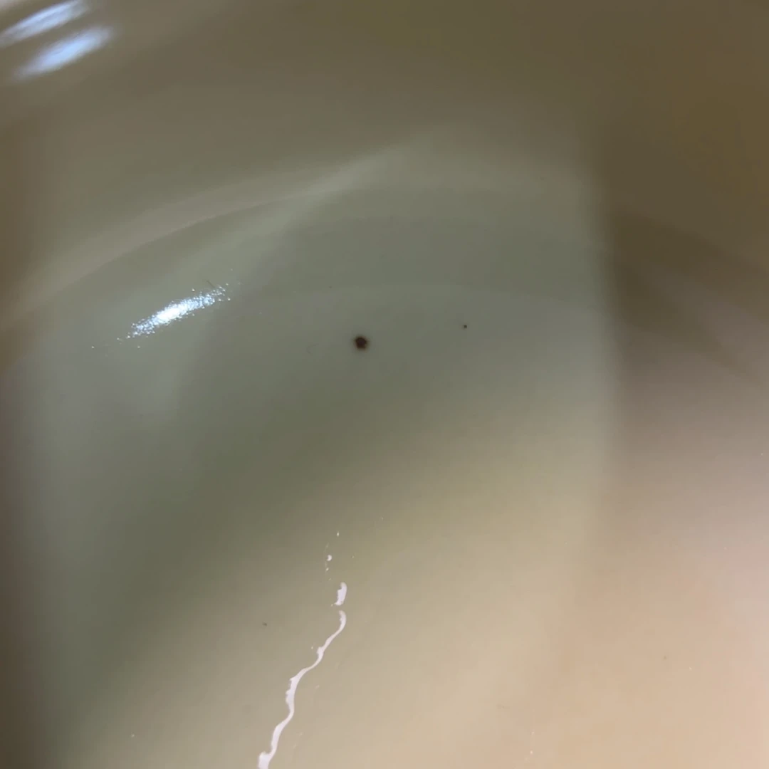 【闪购商品】瓷片飙**子陶瓷艺术有限公司