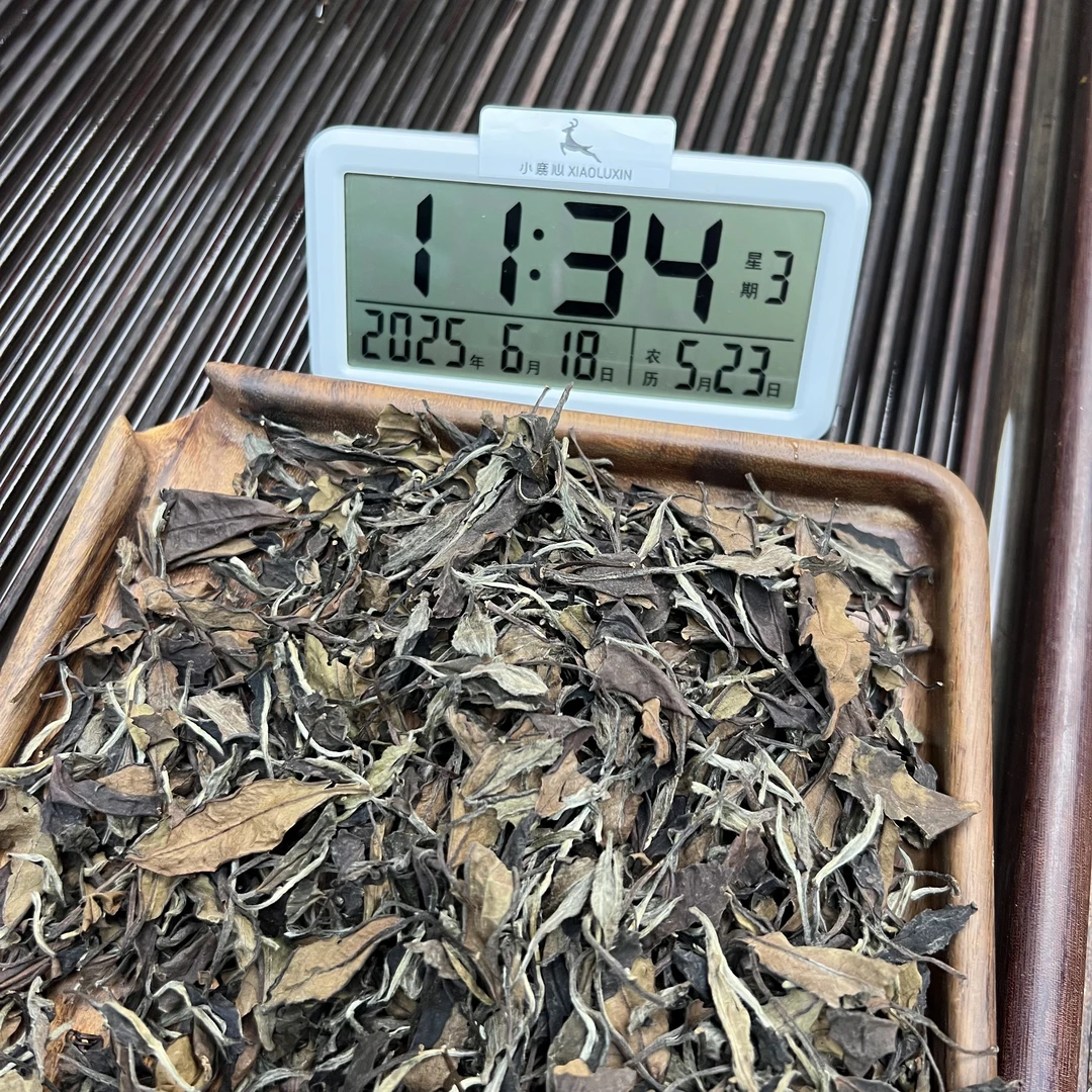 2008福鼎白茶老贡眉  ① 小鹿收茶 白茶 传统工艺 6月18