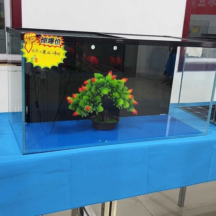 玻璃风**代双进双出背滤