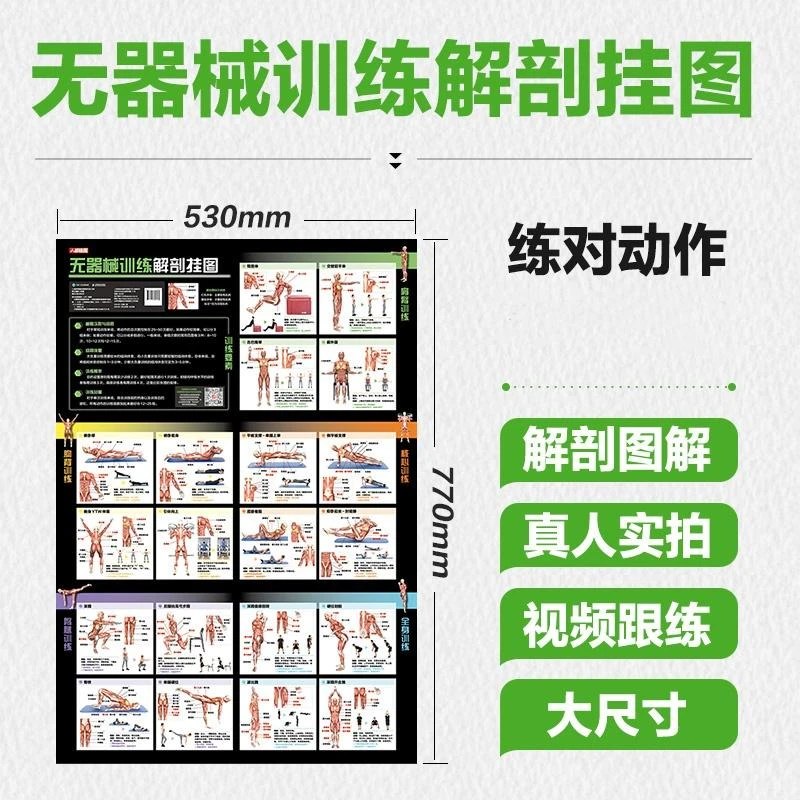 无器械训练解剖挂图 力量训练计划 无器械健身 徒手健身书籍