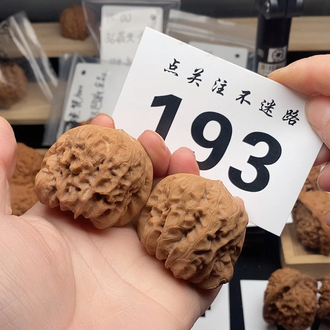 核桃43达摩异形 193