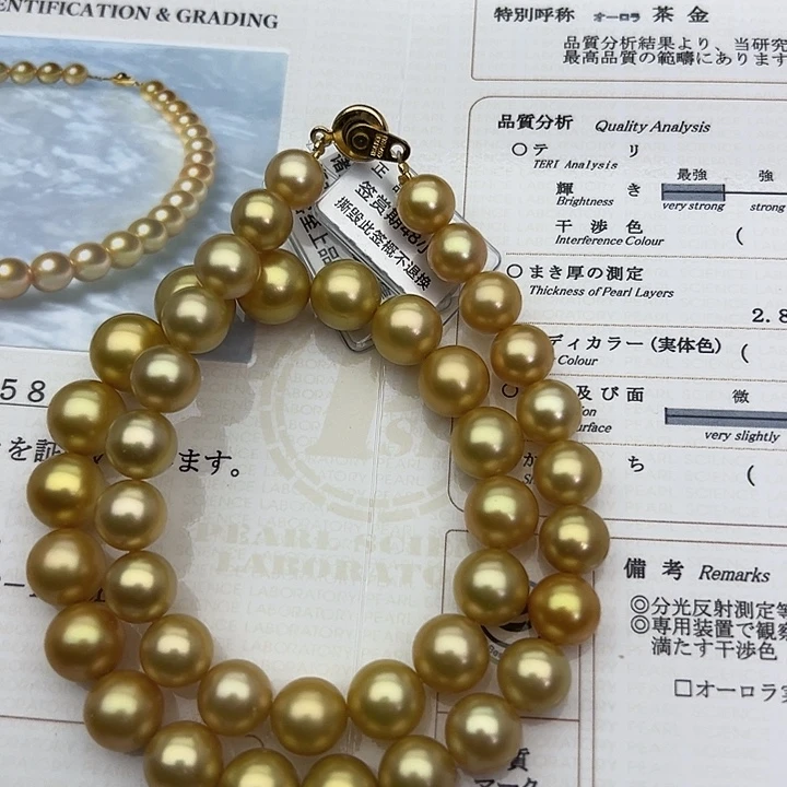 项链海水珍珠合金9.2-12.3茶金项链（真科研S S）