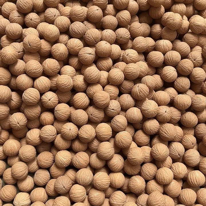 手串猴头核桃土豪50颗凤羽50颗
