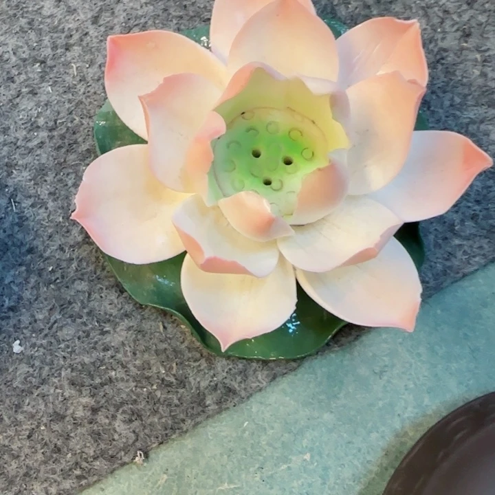 陶瓷杯/壶/罐/主人杯子