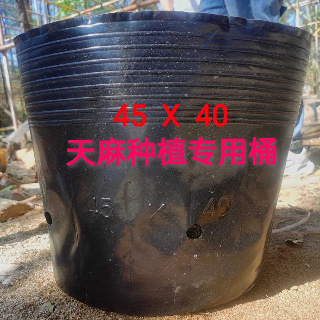 天麻种植专用桶、防老化天麻桶、黑色塑料天麻桶