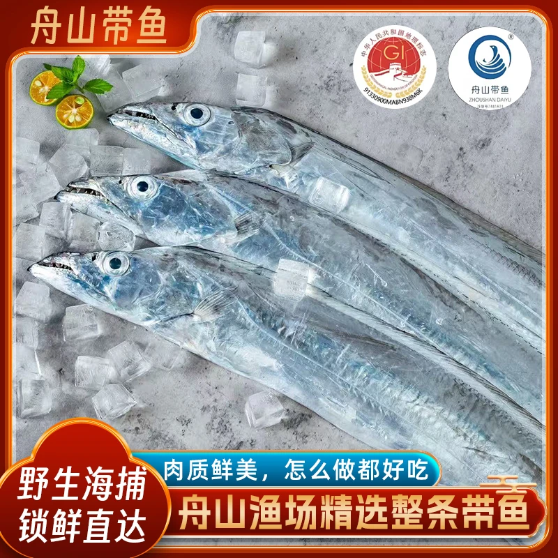 【邮政臻品】正宗舟山带鱼整条肉厚新鲜刀鱼速冻带鱼国家地理标识