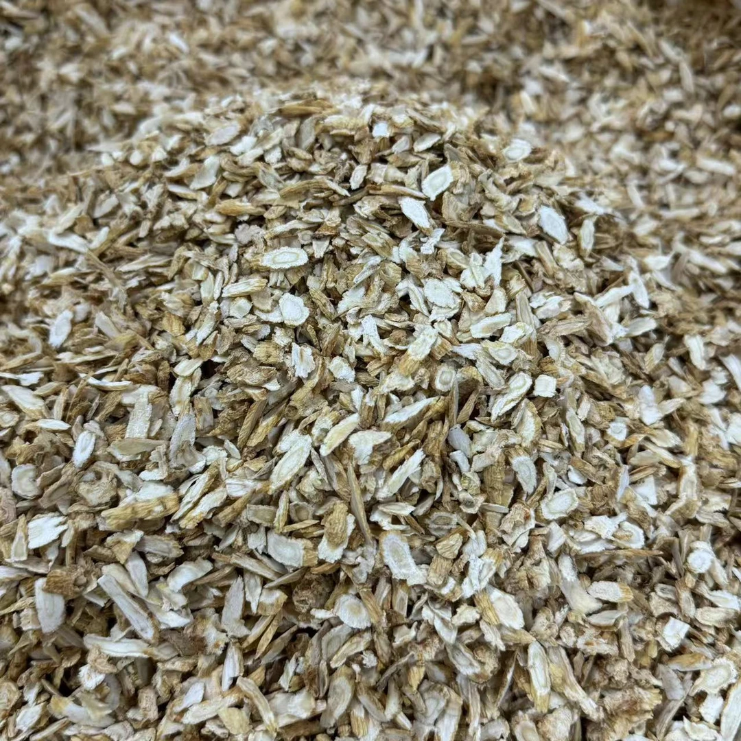 西洋参 侧枝小枝 原色