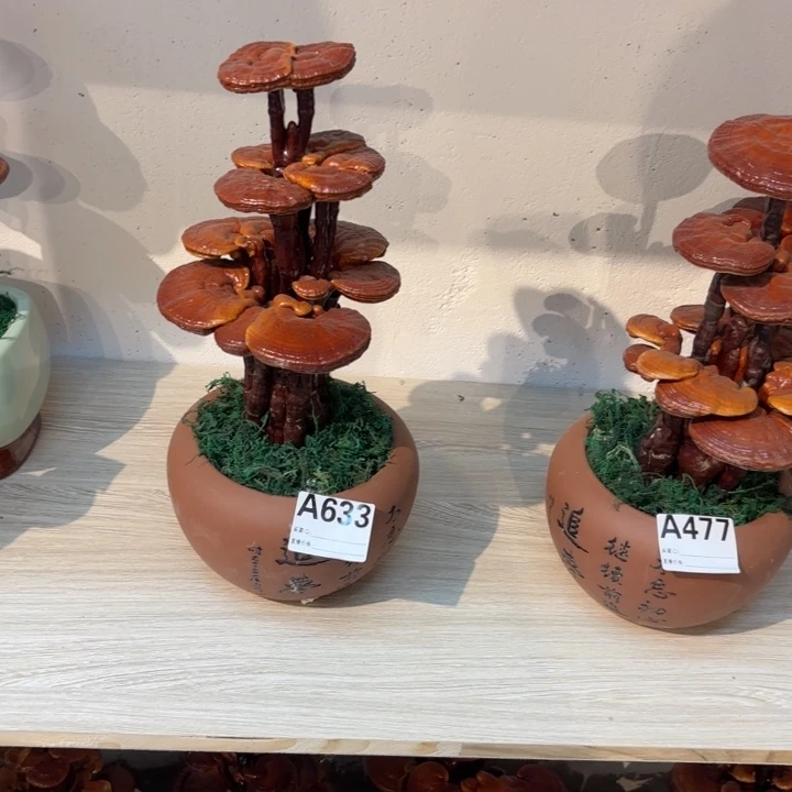 完全开放88888888