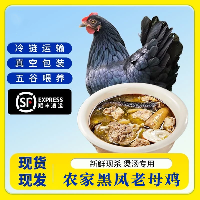 【散养土鸡】黑凤老母鸡买二送一共发3只可红烧煲汤净重7.5斤含脏
