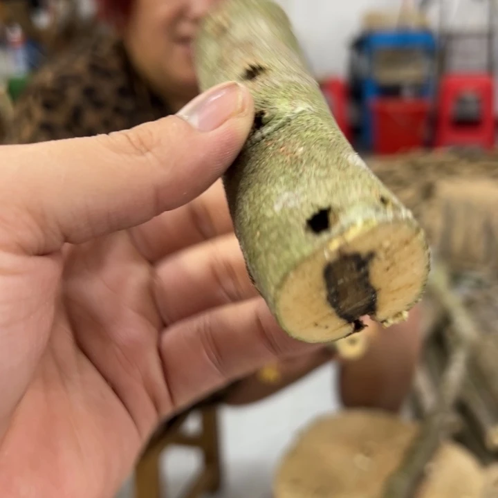 线香奇楠沉香原木