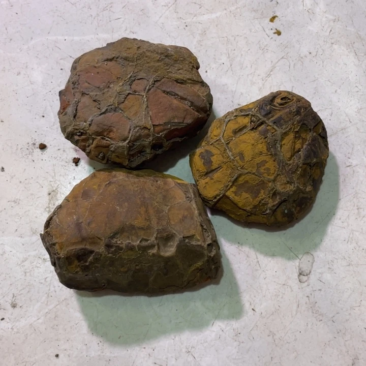 用***5核桃手串/手链龟纹石原石