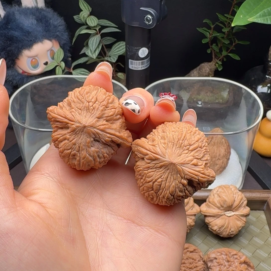 核桃全品泥鳅背40