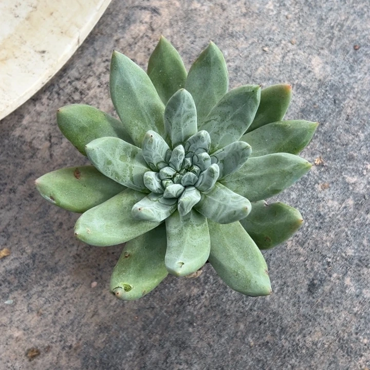 可可爱爱，奇奇怪怪208