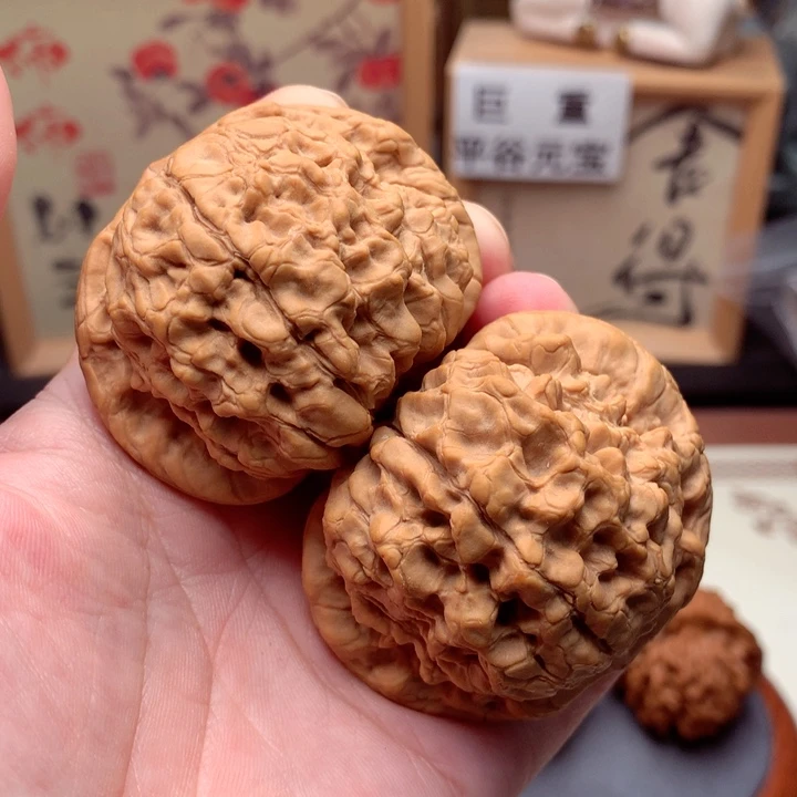 文玩核桃把件S*H龙鼎全品巨重  1号