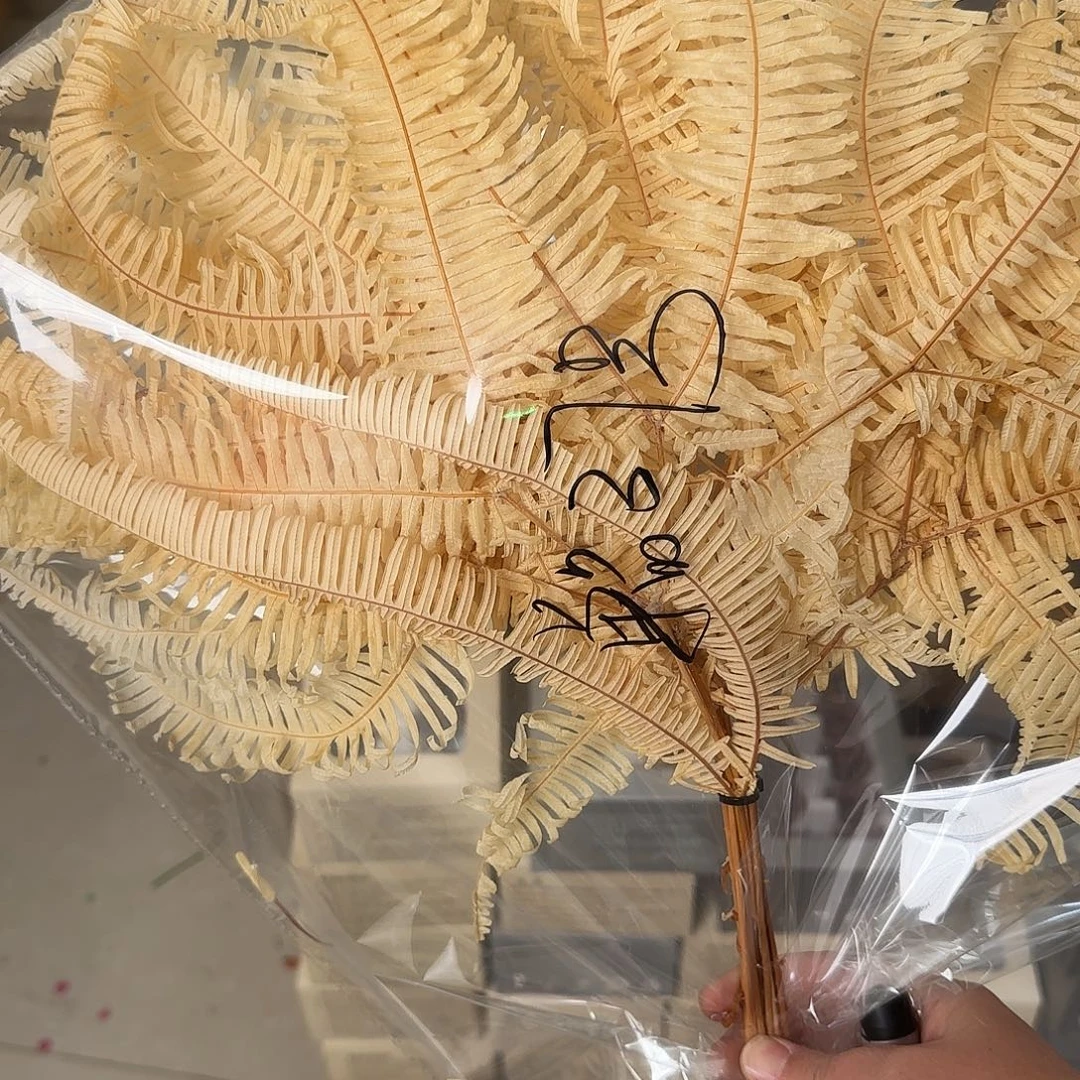完全开放单品37号茫其1把