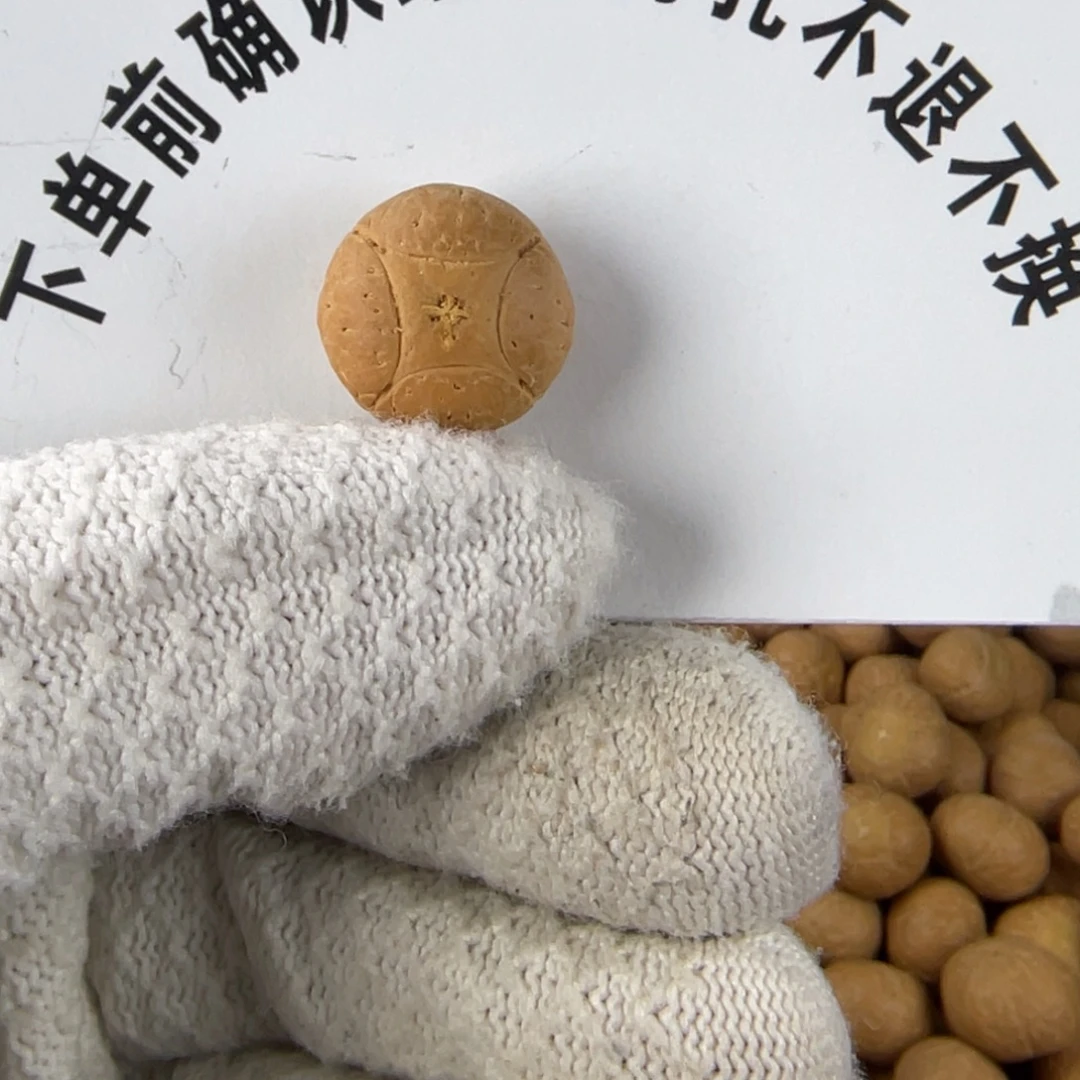 旅***3凤眼菩提吊坠凤眼菩提麒麟眼