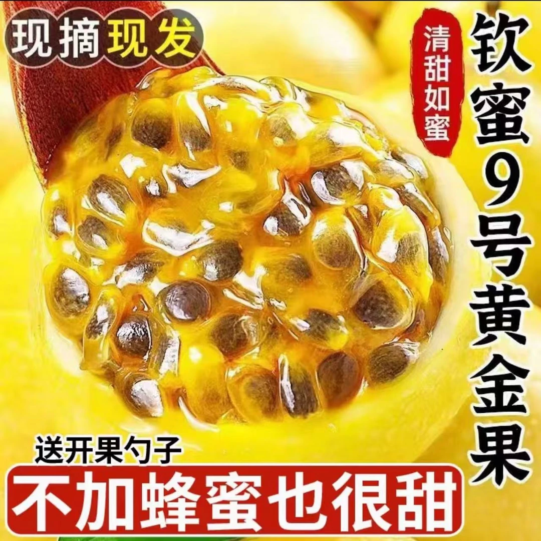 当季新鲜香甜多汁的钦蜜9号百香果