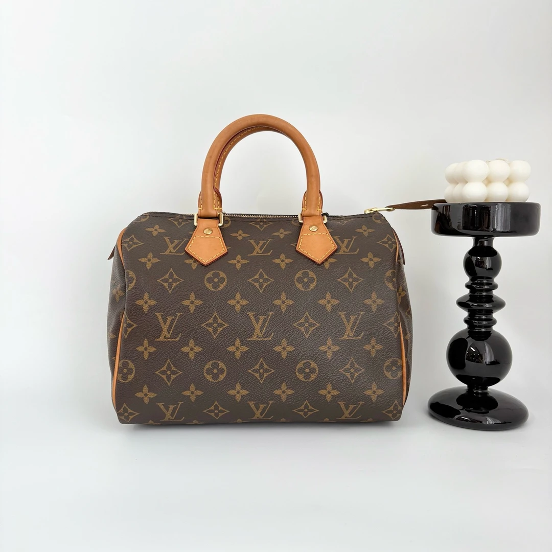 95新 LouisVuitton/路易威登 16244623 LVspeedy25手提款  25*19