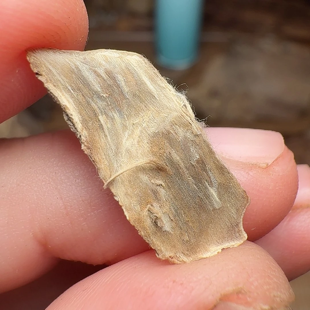 沉香香港虎斑棋0.14g