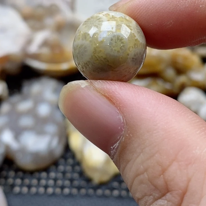 硅化珊瑚（珊瑚玉）颈饰未镶嵌菠**雪