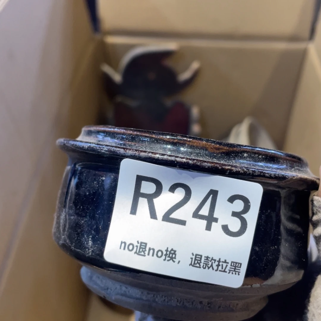 秀***华瓷片表弟链接火爆热卖热卖