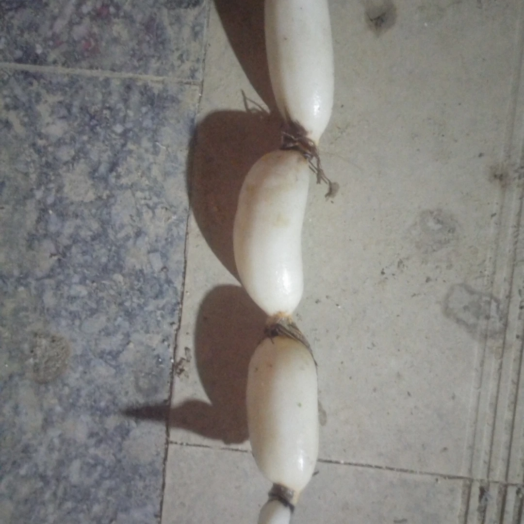 酒店专供品质江西莲藕余干精品老品种白莲藕脆甜爽口新鲜现挖现发