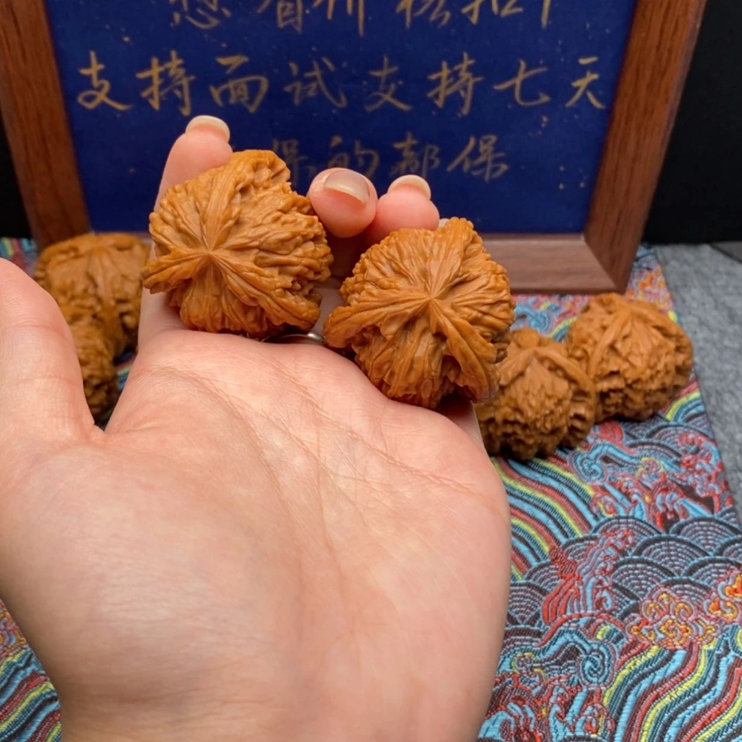 【闪购商品】东*白狮