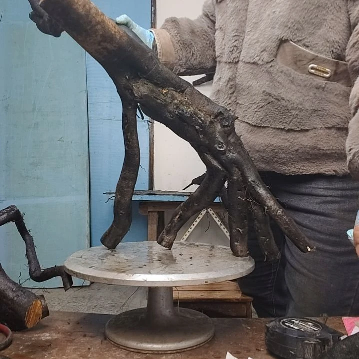 藤一****院一个一个一个一个