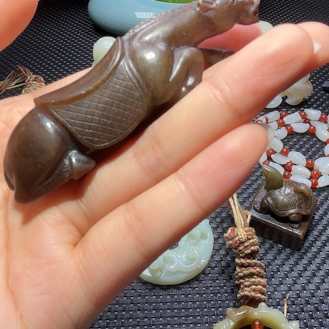 缸一物一图 所见所得