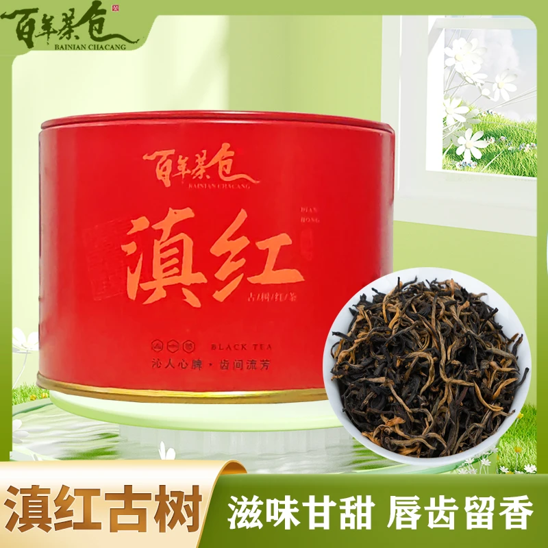 热滇红古树红茶 新茶滇红古树茶叶蜜香花果香型高山古树红茶