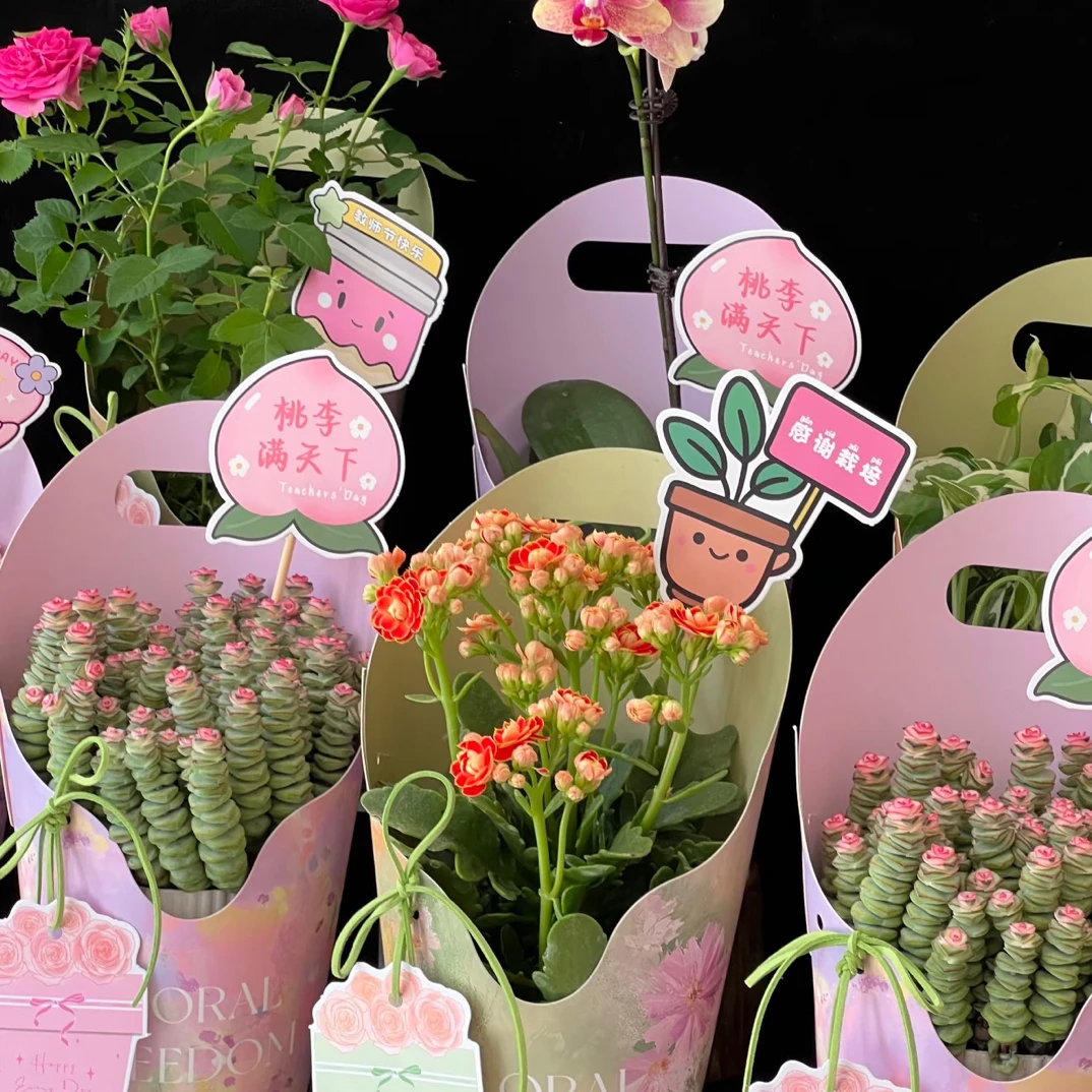 《教师节礼物》感谢栽培小盆栽手提礼物上门自提