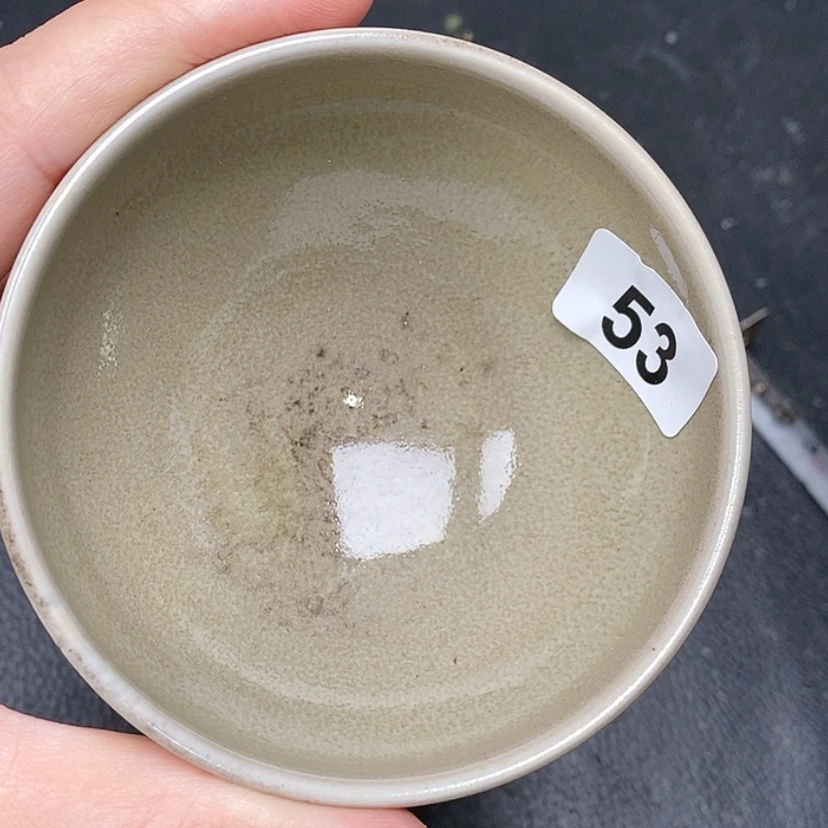 【闪购商品】茶盏我的盏太好看了吧