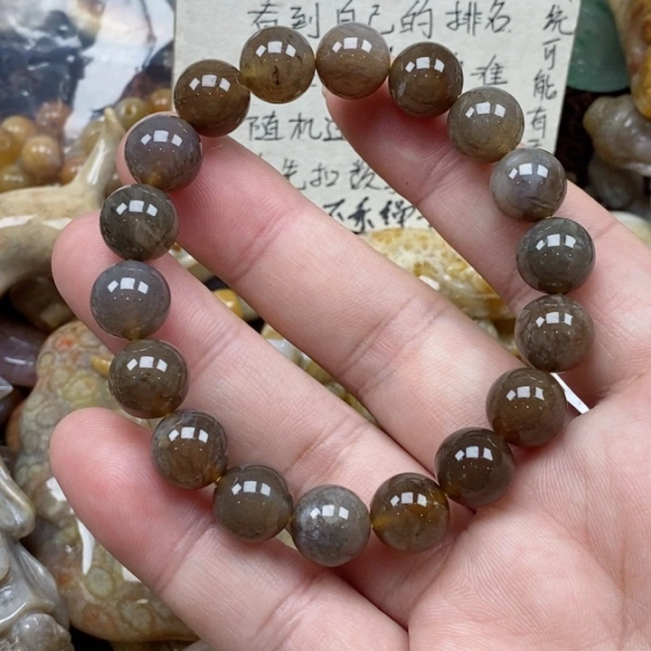 硅化珊瑚（珊瑚玉）未镶嵌颈饰
