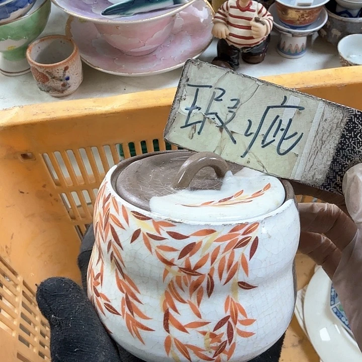 碟开播啦…开播啦