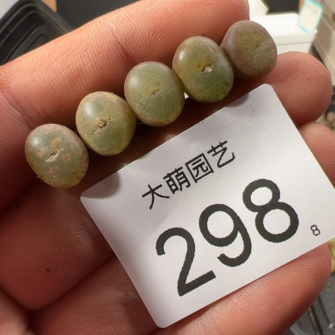 0000298 一物一拍……