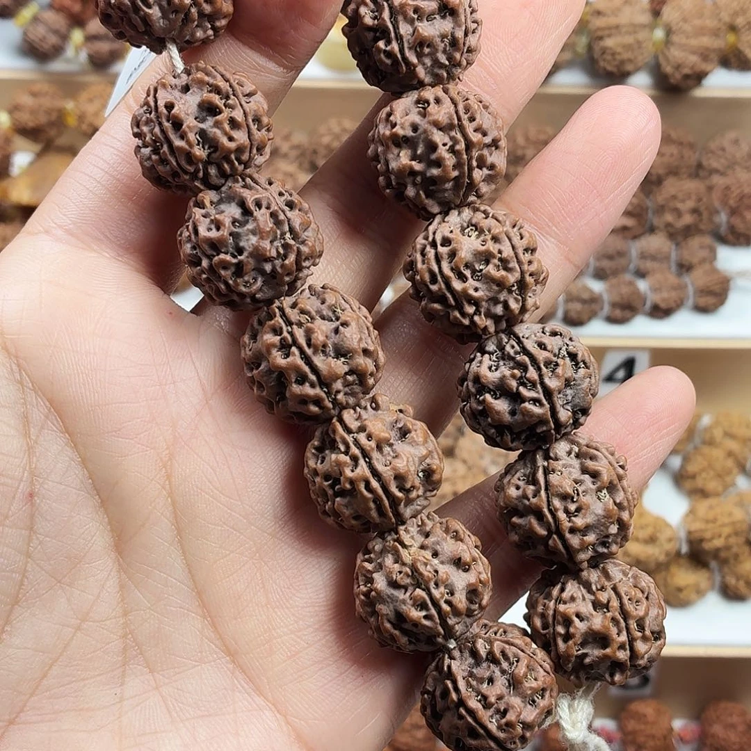 手串金刚菩提精品梅花蜂窝双龙