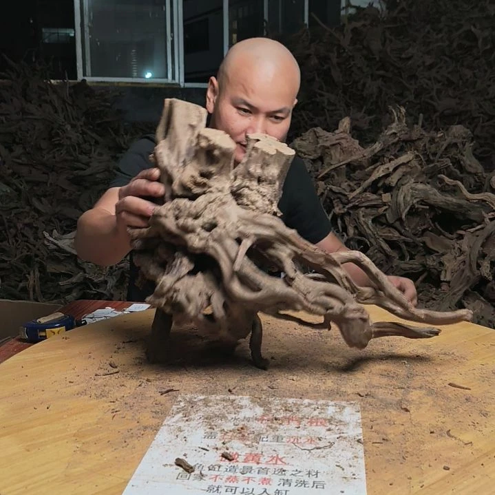 木鱼缸造景 杜鹃根141