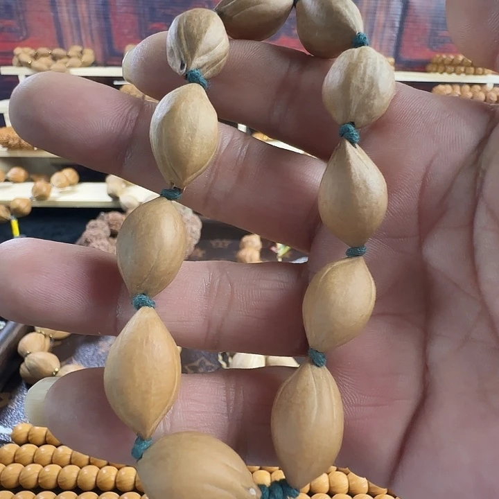 山榄木全品橄榄核小尺寸