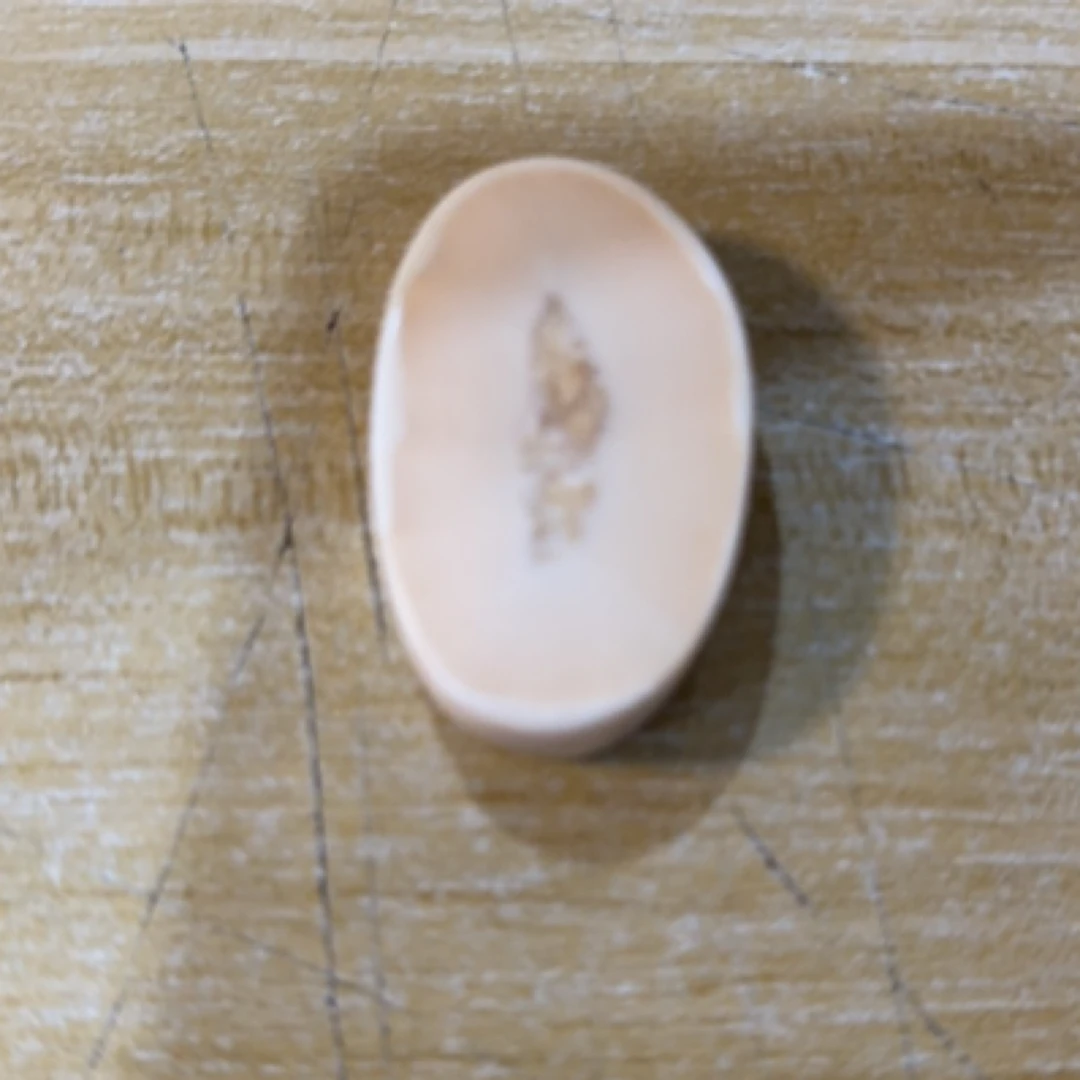 猛犸猛犸虬饼子 WT264