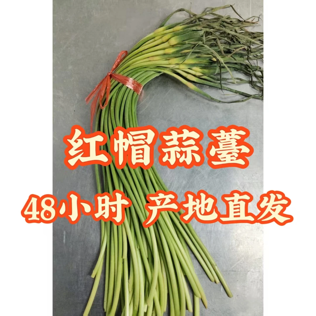 （红蒜苔）2024年（保鲜库储存）红帽蒜薹农家自种蒜薹5斤包邮到家
