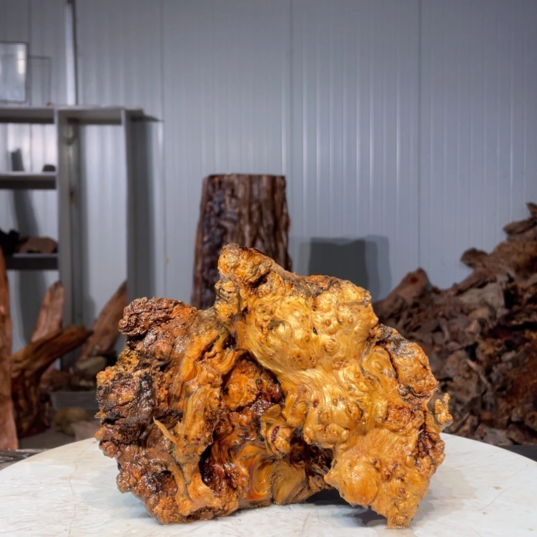 略***二木材猛子琥珀木10