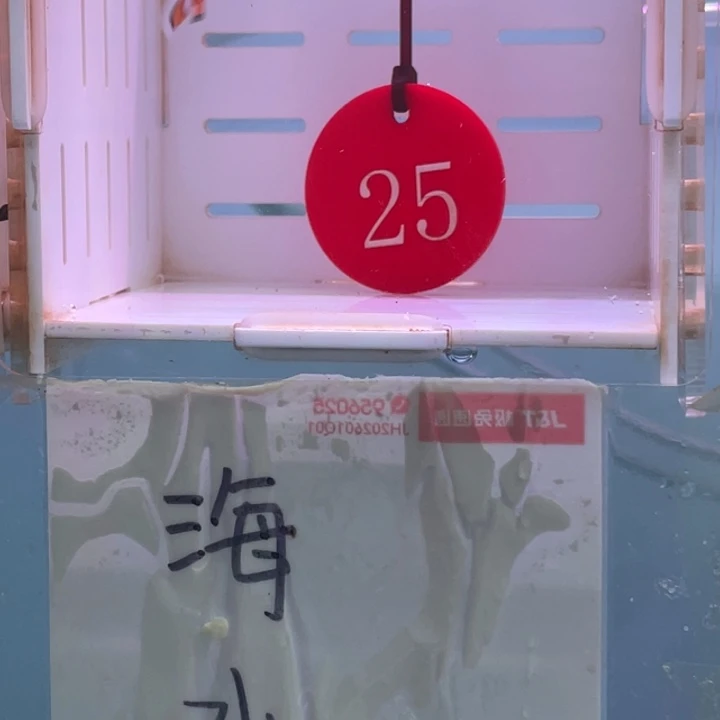 公热带海域2-5毕加索2条3左右