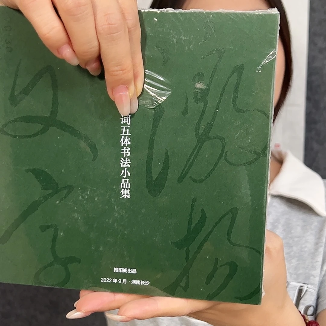国画（vv）五体小作品集 书画