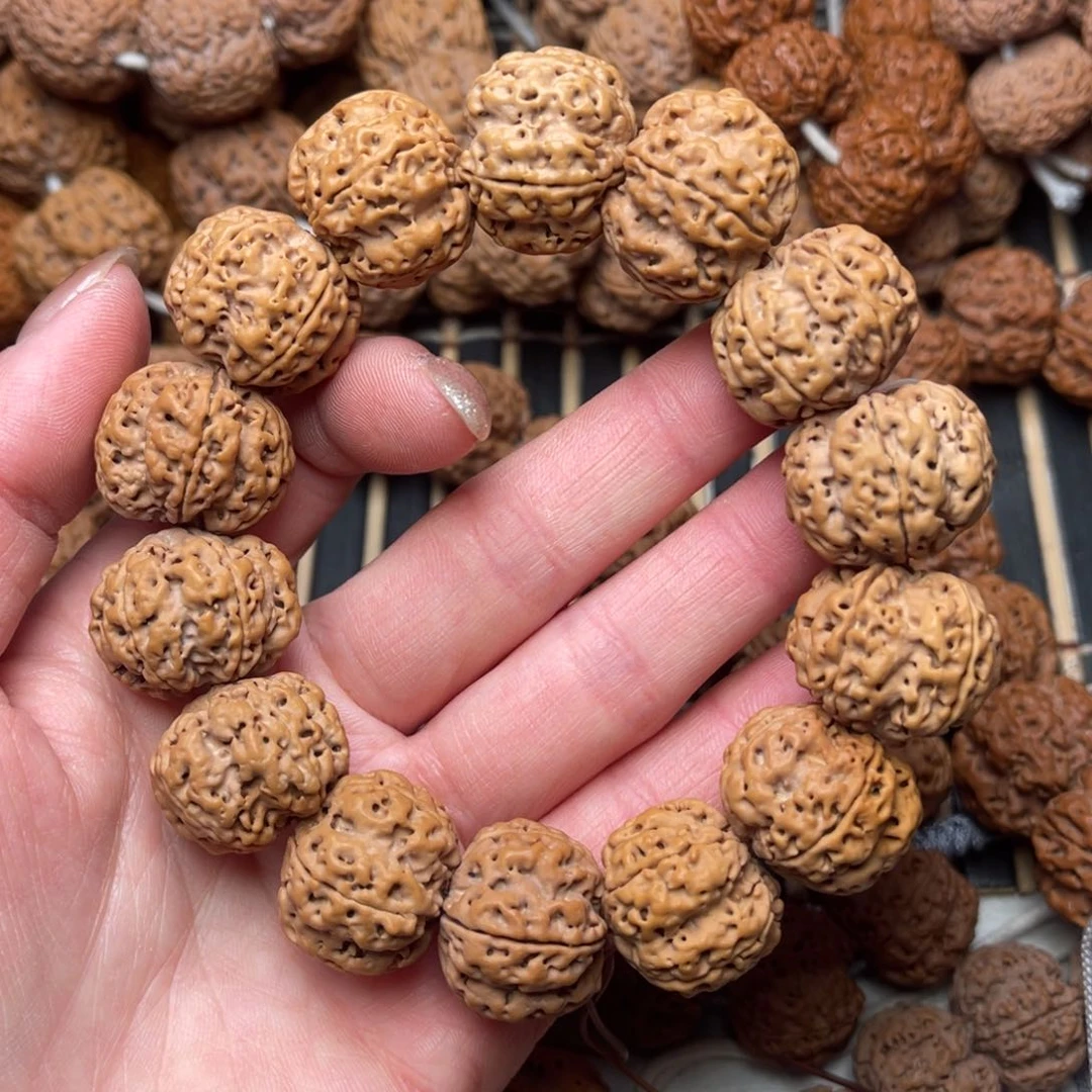 菩提阿*尼泊尔大金刚满肉梅花21+