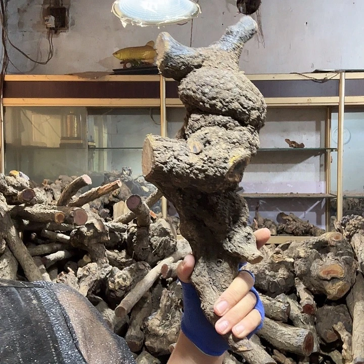 小***雨香榧木火琉璃的故事是一个人的