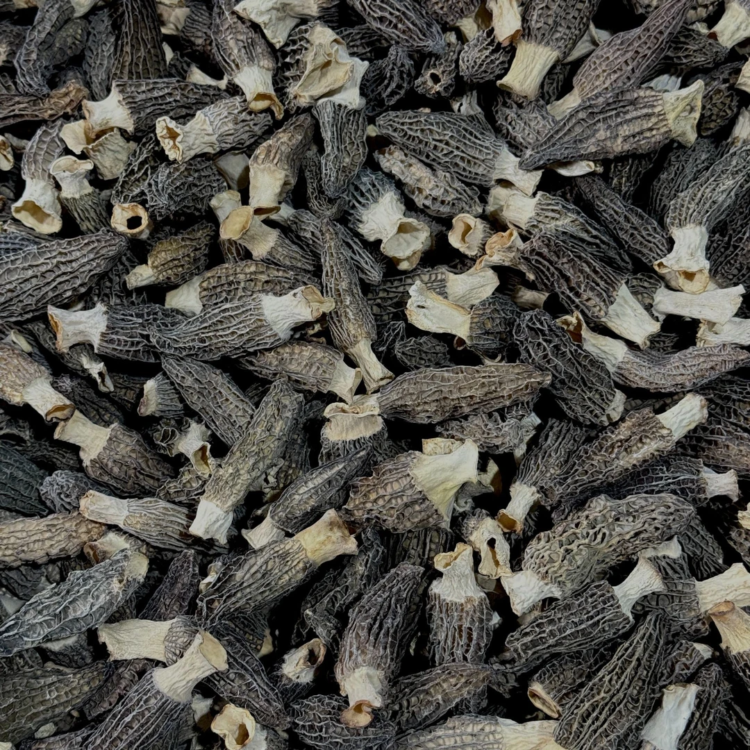 527360手选羊肚菌干菌菇