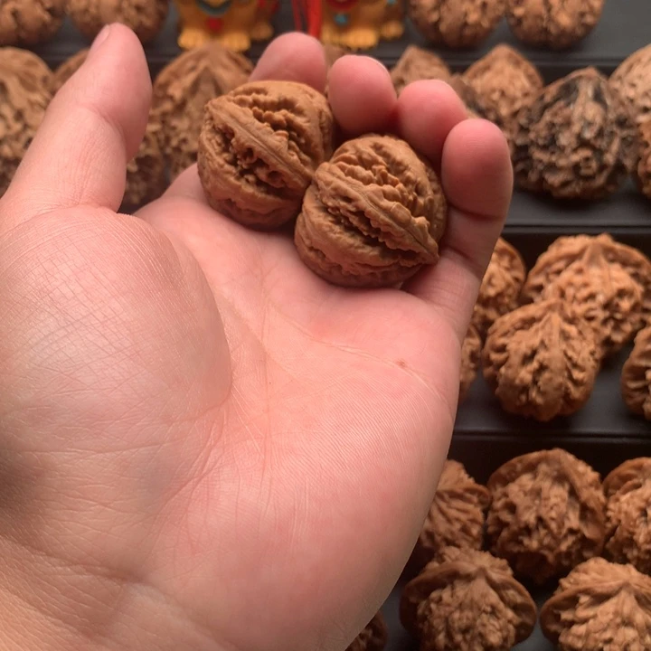 其他核桃春*秦岭灯笼