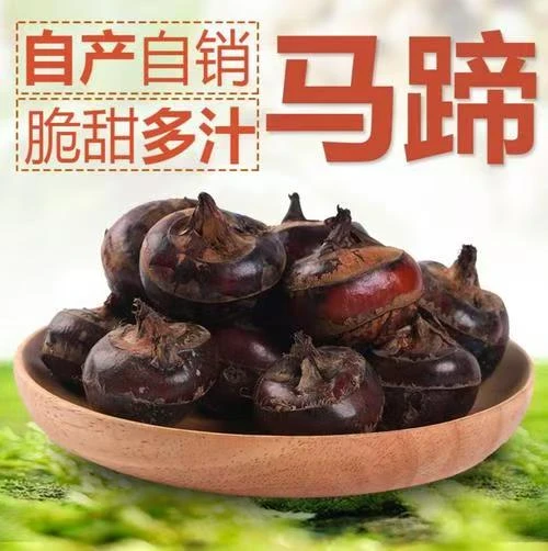 整箱装水果马蹄妈妈自种广西荔浦特产清甜无渣